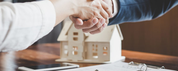 immobiliers neufs