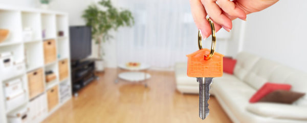 immobilier locatif