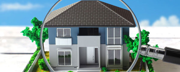 Agence immobilière