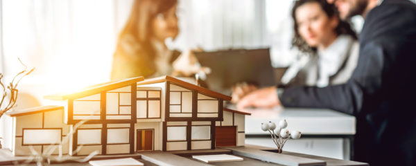 immobiliers neufs