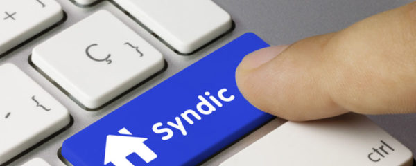 Syndic