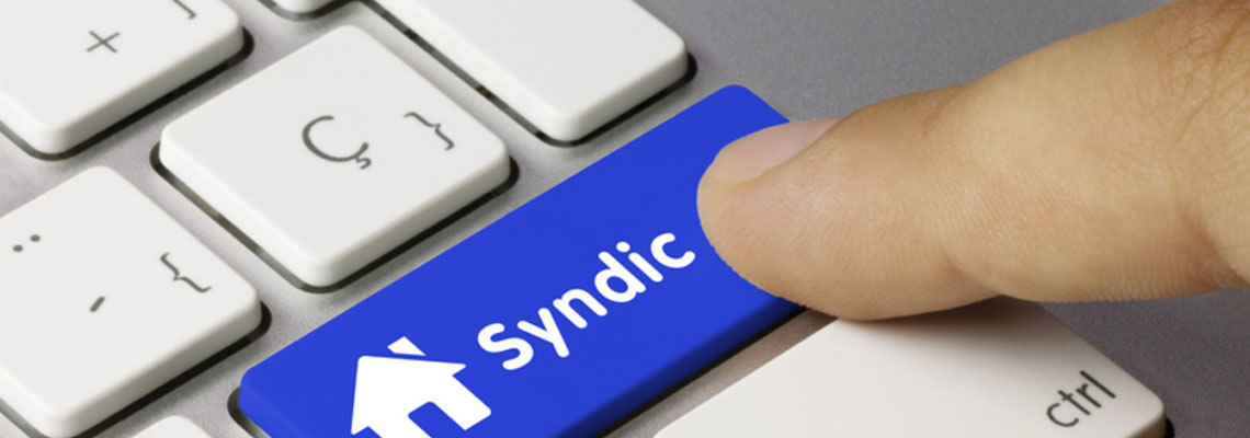 Syndic